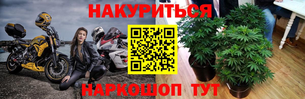 Шишки марихуана Bruce Banner Муром